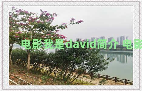 电影我是david简介 电影 我是